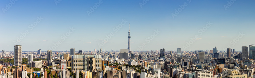 Panorama view of tokyo city and skyline in clear sky day