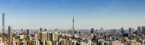 Panorama view of tokyo city and skyline in clear sky day © basiczto