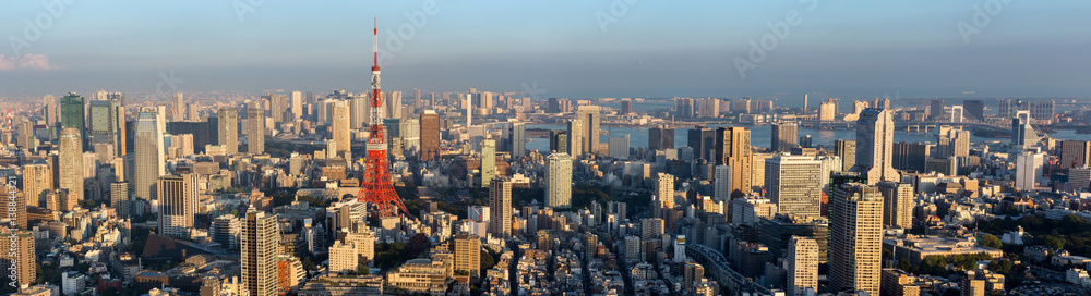 Panorama view of Tokyo city skyline , Japan