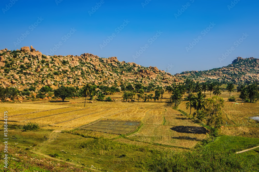 Landscape with unique mountain formation with amazing stones, Rice plantation and palm trees in Hampi, India