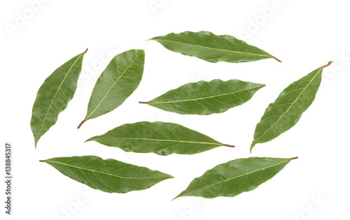bay leaves isolated without shadow. set © azure