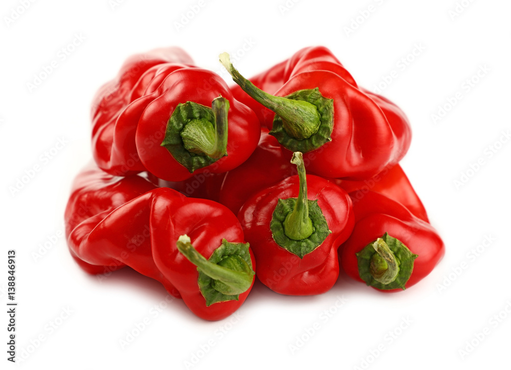 Red paprika peppers close up isolated on white Red paprika peppers close up isolated on white