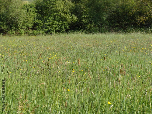 Fotografi Prairie