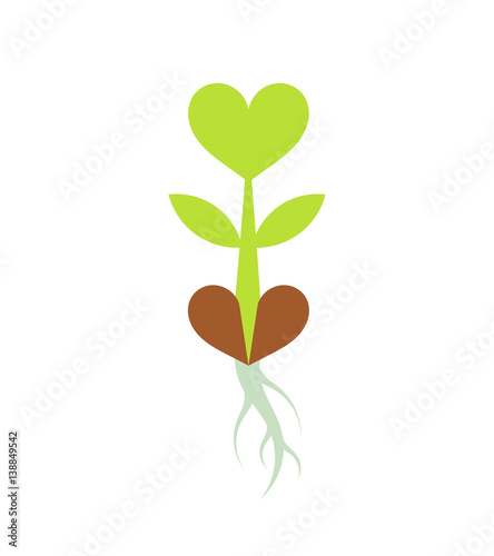 Little green plant sprout