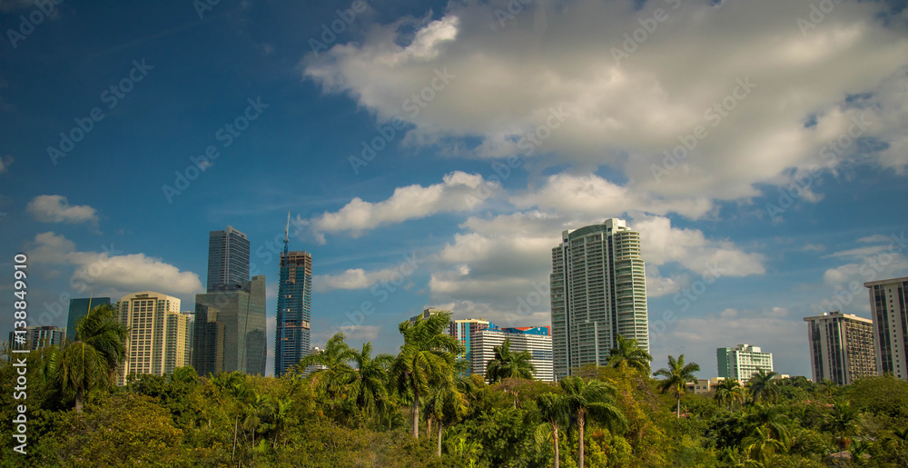 Miami, Florida Skyscraper with Palm trees