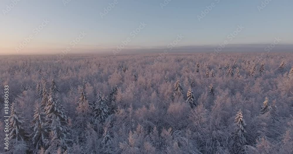 Aerial view of winter woodlands during a flight at frosty day. Aerial view of winter woodlands during a flight at frosty day.