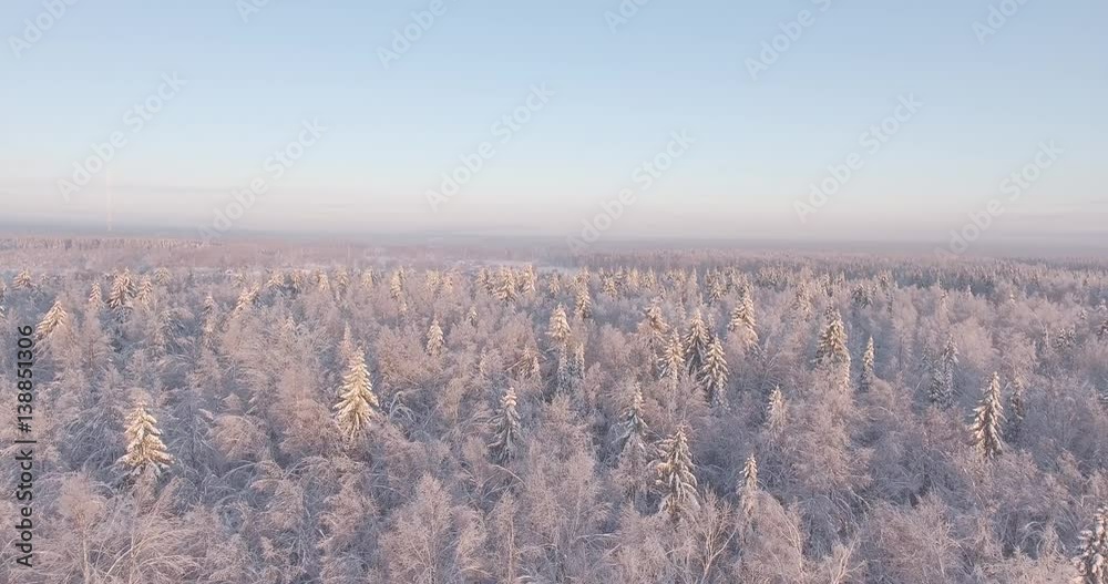 Aerial view of winter woodlands during a flight at frosty day. Aerial view of winter woodlands during a flight at frosty day.