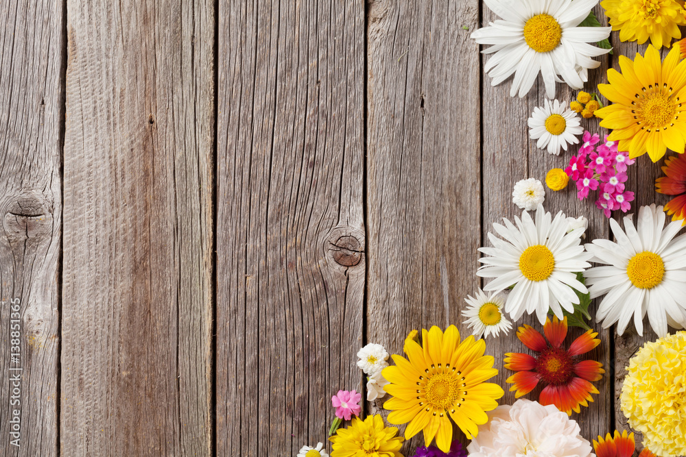 Obraz premium Garden flowers over wooden background