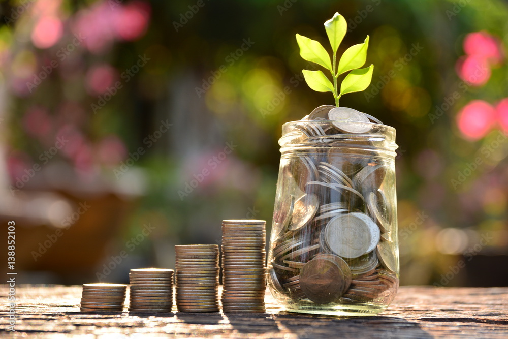 Save money with stack coin for growing your business and plant under the sun light