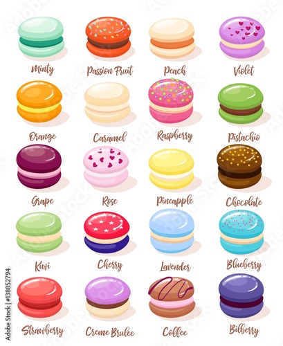 Macaroon set with isolated images of sweet fresh baked almond cookies of different taste and colour vector illustration