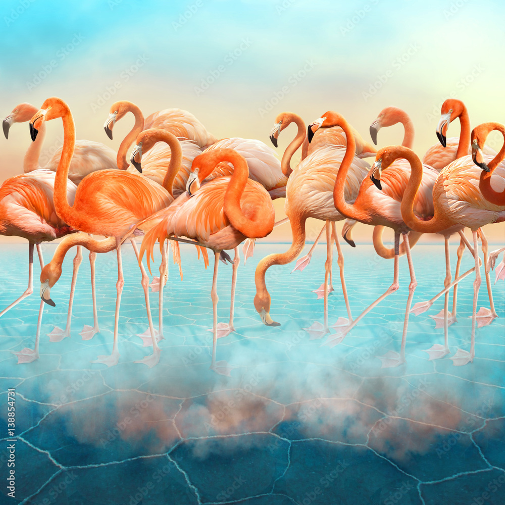 Obraz premium Compositing with a range of beautiful red flamingo in the blue surreal desert with colorful sunset sky