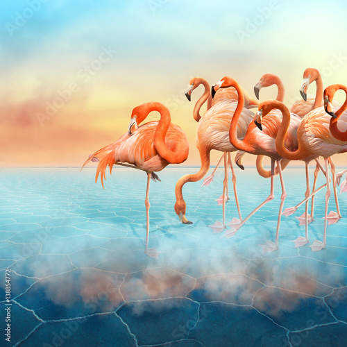 Colorful photomanipulation with red flamingo at right side in the desert  and sunset sky