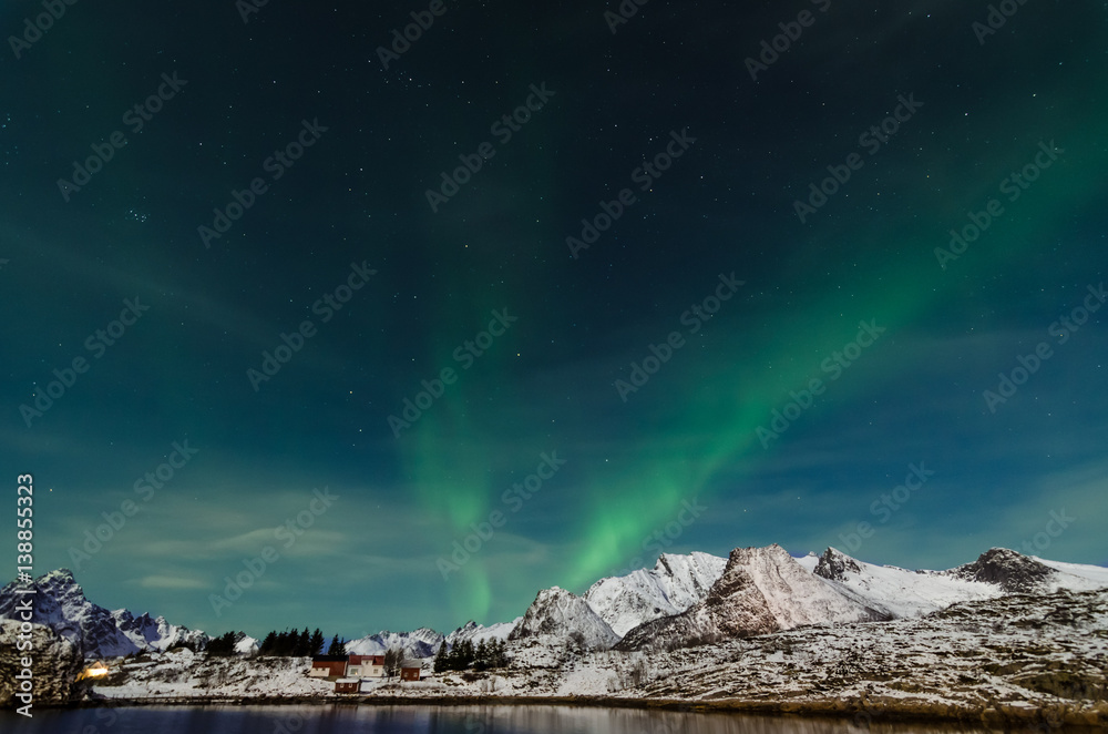 Fototapeta premium Aurora borealis at the lofoten islands