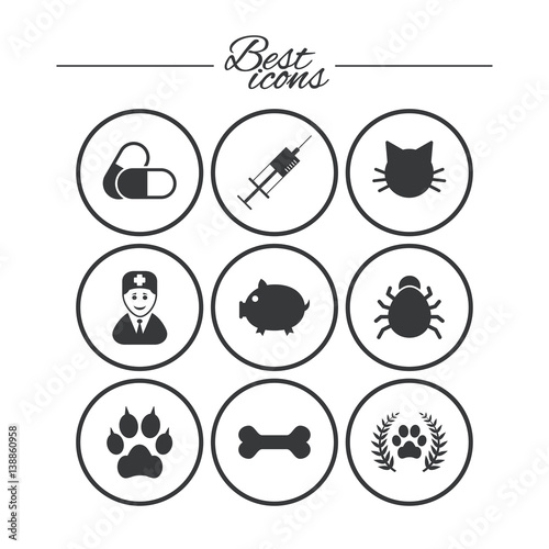 Veterinary, pets icons. Paw, syringe and bone.