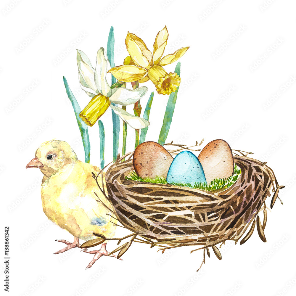 Hand drawn watercolor art bird nest with eggs and spring flowers ...