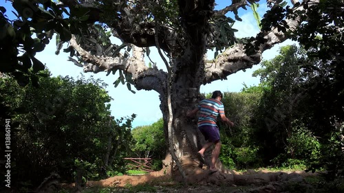 Tourist with the Patriarch (El Patriarca) giant cactus in the Varahicacos Ecological Preserve. Varadero, Matanzas, Cuba photo