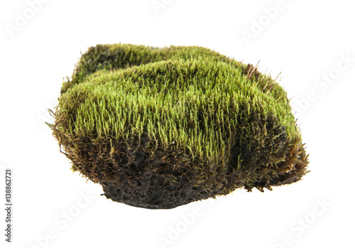 turf