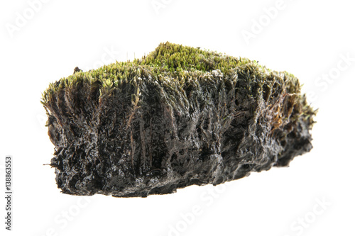 Valokuva turf