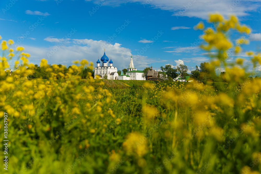 Suzdal, Golden ring of Russia. Summer view of Suzdal Kremlin through the yellow flowers in the meadow.