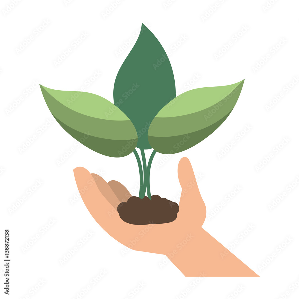 hand holding plant leaves vector illustration eps 10 hand holding plant leaves vector illustration eps 10