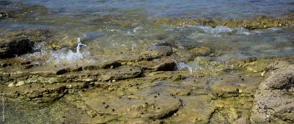 Water and rocks