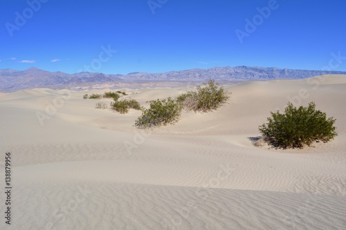 Fototapeta Naklejka Na Ścianę i Meble -  Mesquite Flat Sand Dunes Death Valley National Park California