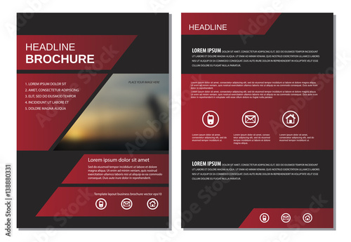 Template layout for magazine brochure flyer vector