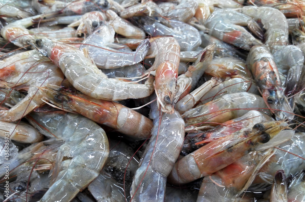 Pile of shrimp that have been captured and collected on ice. This shrimp is ready for sale.