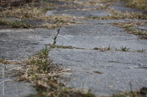  Wood Stone Sky