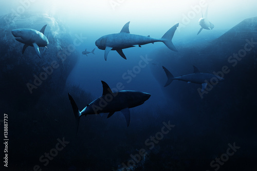 Shark encounter,Large school of sharks patrolling underwater. 3d rendering