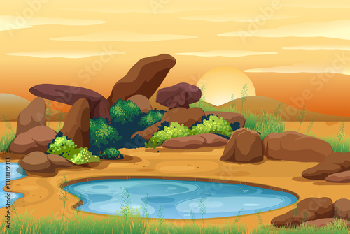 Waterhole scene