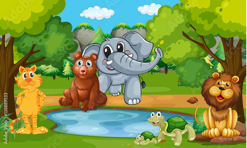 Waterhole