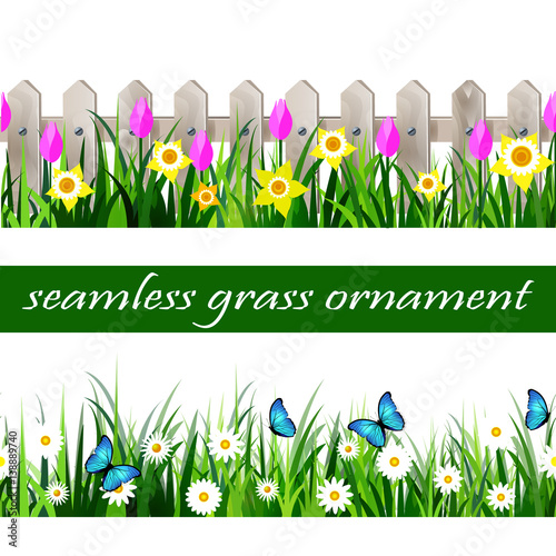 Green Grass seamless photo