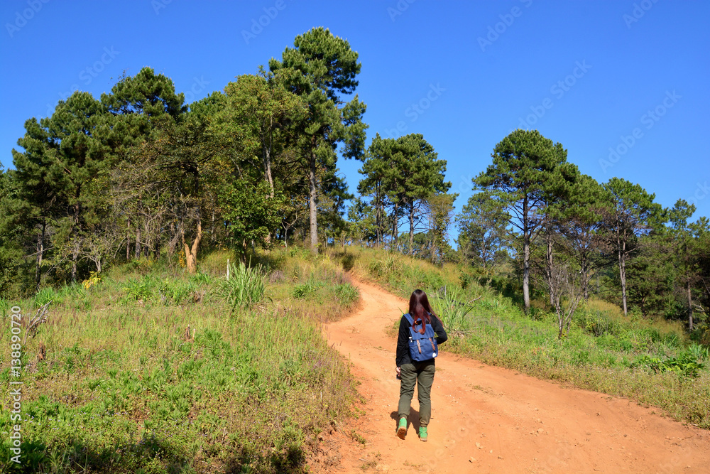 Tourists are walking on the nature trail. Tourists are walking on the nature trail.
