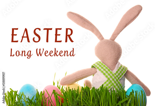 Easter bunny with eggs on w...