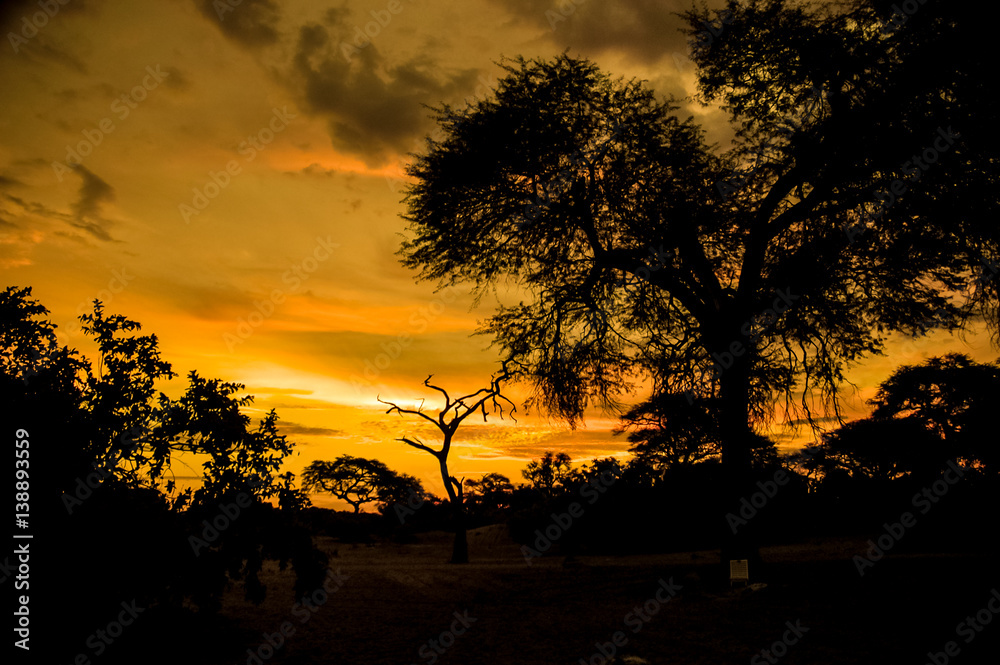 Sunset landscape in Africa