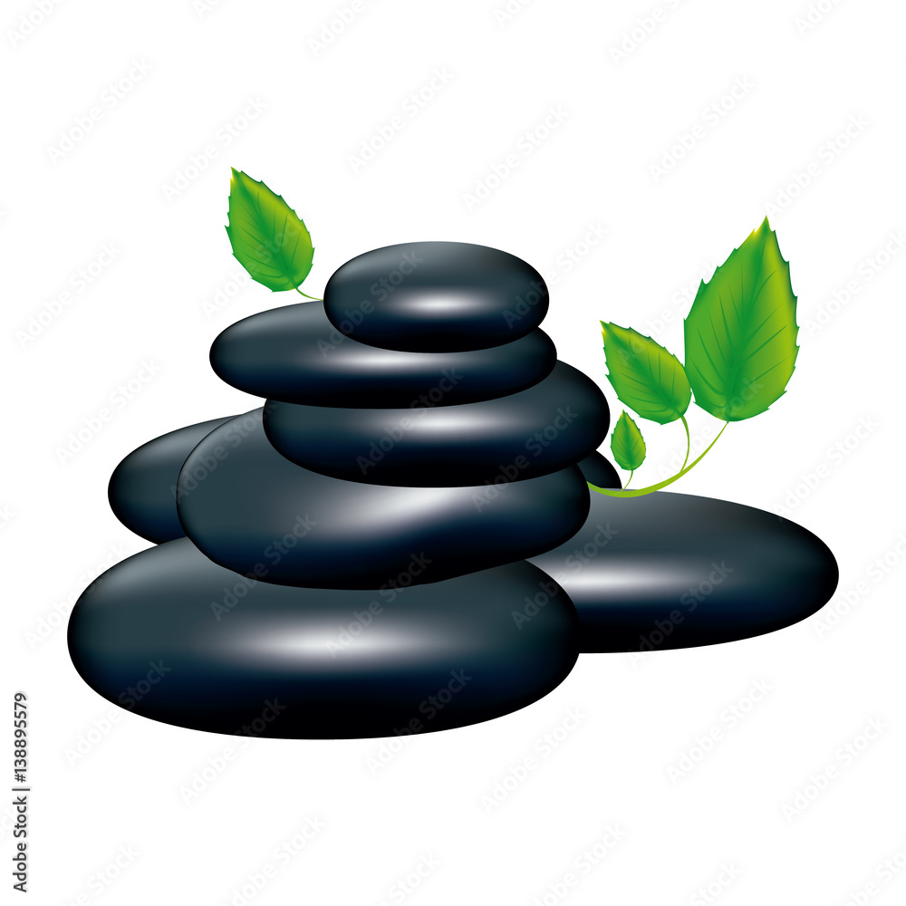 spa volcanic rocks with leaves icon, vector illustraction design image spa volcanic rocks with leaves icon, vector illustraction design image