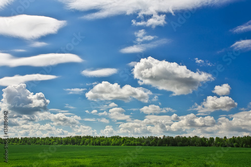Beautiful green field and blue cloudy sky. © es0lex