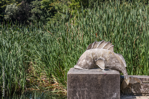 Fish sculpture at Hamilton Gardens, New Zealand.