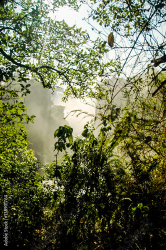 Landscape in Victoria Falls