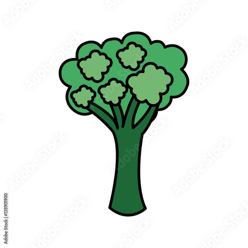 colorful vegetable broccoli icon  vector illustraction design image