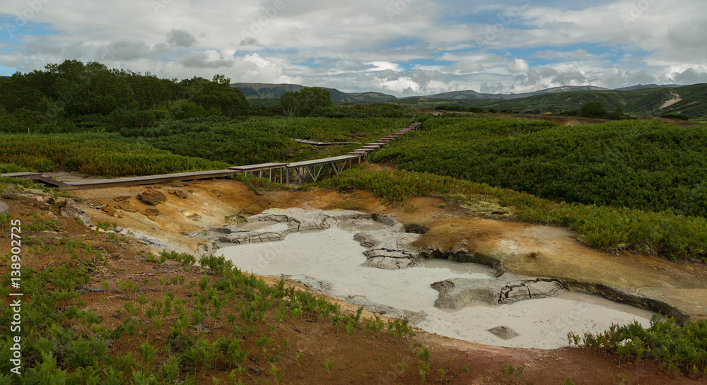 Obraz premium Beautiful summer landscape in the Uzon Caldera. Kronotsky Nature Reserve