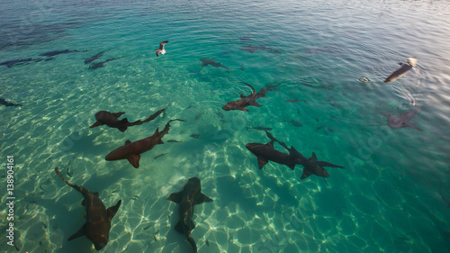 Photography feeding time
