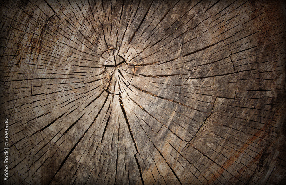 Fototapeta premium Old wood background