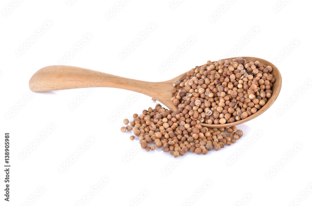 dried coriander seeds in wooden spoon and on white background dried coriander seeds in wooden spoon and on white background