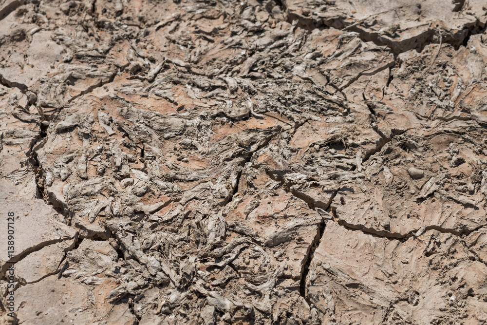 Dry ground on dead fish background, Drought. Dry ground on dead fish background, Drought.