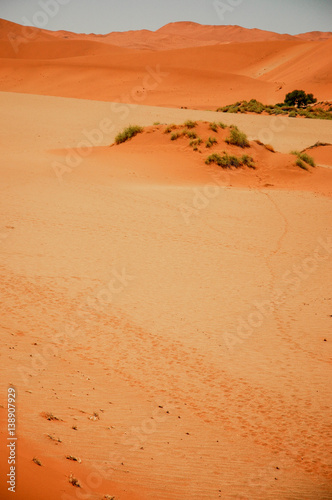 Sossusvlei