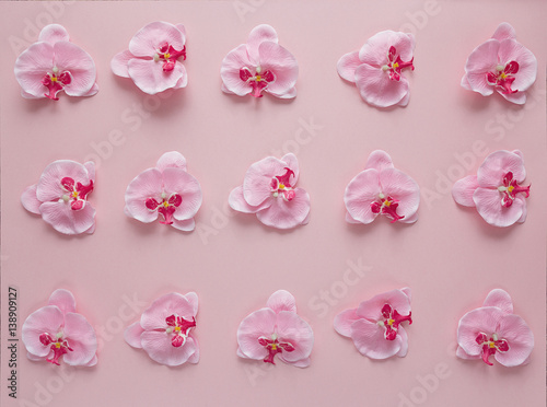 Rosy orchid flowers pattern on pink background.