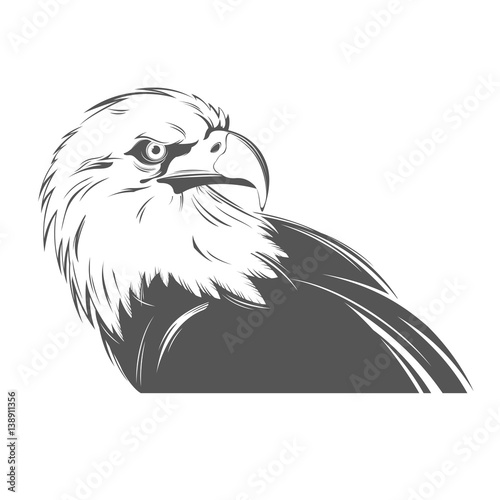 Eagle head in black and white style