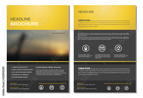 Template layout for magazine brochure flyer vector